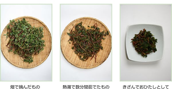 スベリヒユのおひたし