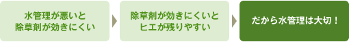 チャート