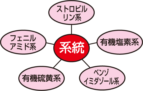 薬剤の系統