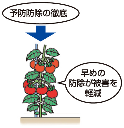 発生前からの予防防除