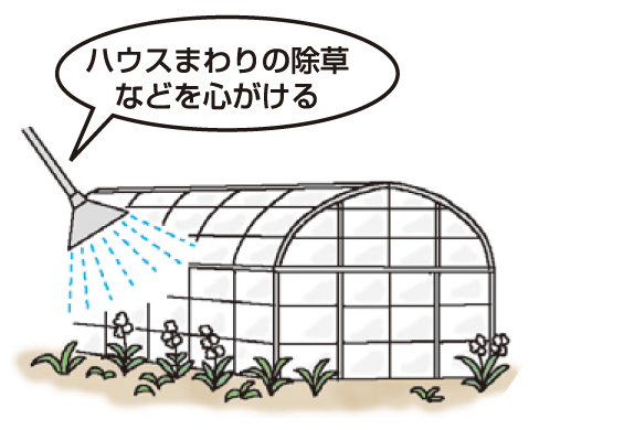 病気が発生しにくい環境づくり