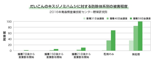 だいこんのキスジノミハムシに対する防除体系別の被害程度