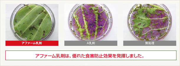 ハスモンヨトウに対する防除効果