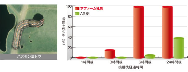 ハスモンヨトウに対する防除効果試験