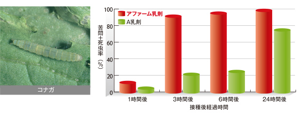 コナガに対する防除効果試験