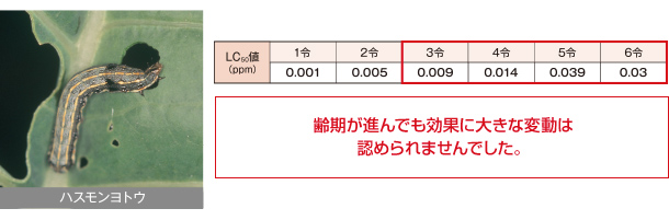 ハスモンヨトウ各齢期に対する防除効果試験