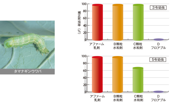 タマナギンウワバ老齢幼虫に対する防除効果試験
