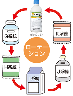 アファームから始まるローテーション防除