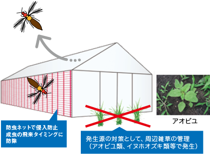 侵入防止と周辺雑草の管理