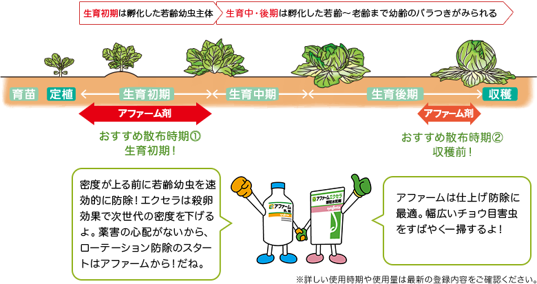 アファーム散布のタイミング