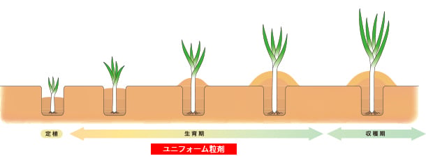 土寄せ時の株元土壌混和