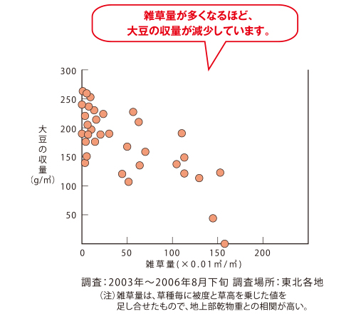 雑草量と大豆収量の関係
