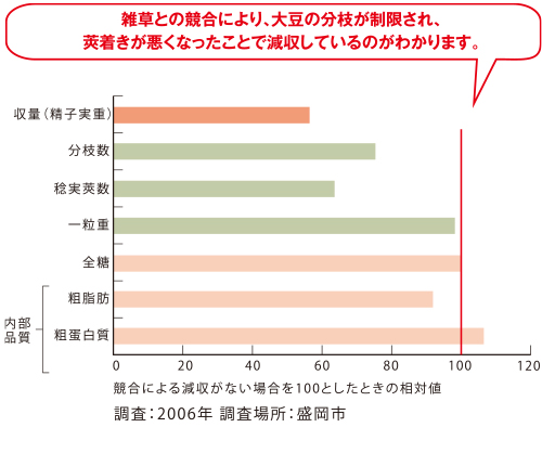 生育初中期の競合が大豆の収量と品質におよぼす影響