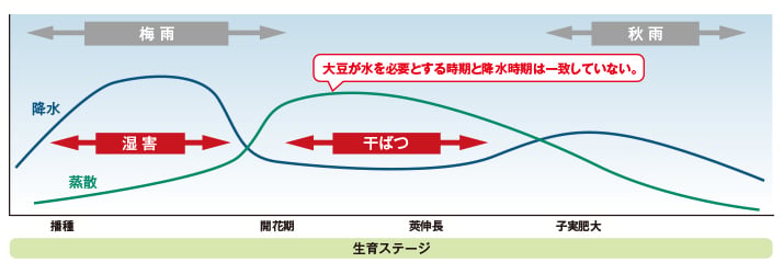 大豆圃場の蒸発散と降水の関係
