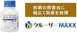 クルーザーMAXX