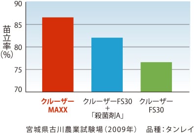 排水不良田での苗立率