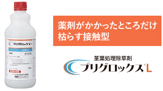 プリグロックスL