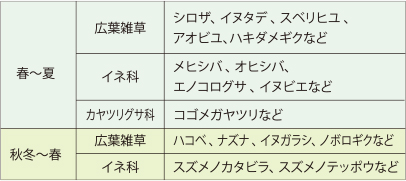 雑草の状態
