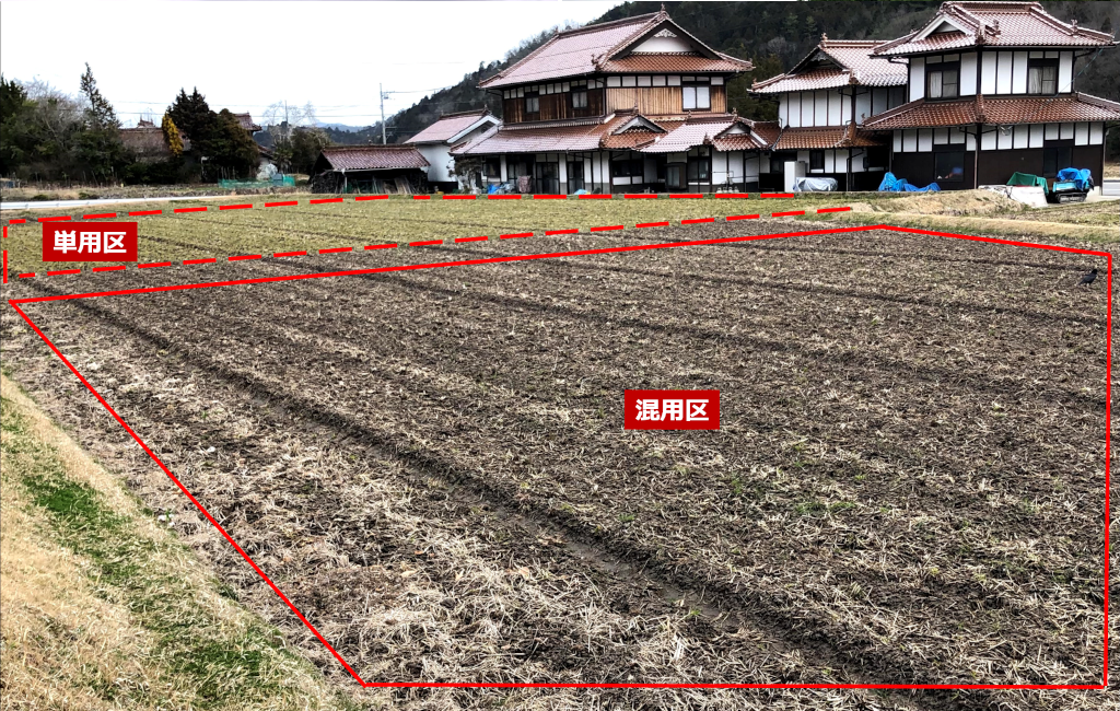 プリグロックスLとアグリ革命アクアを混用散布した圃場とアグリ革命アクアのみ散布した翌春の圃場