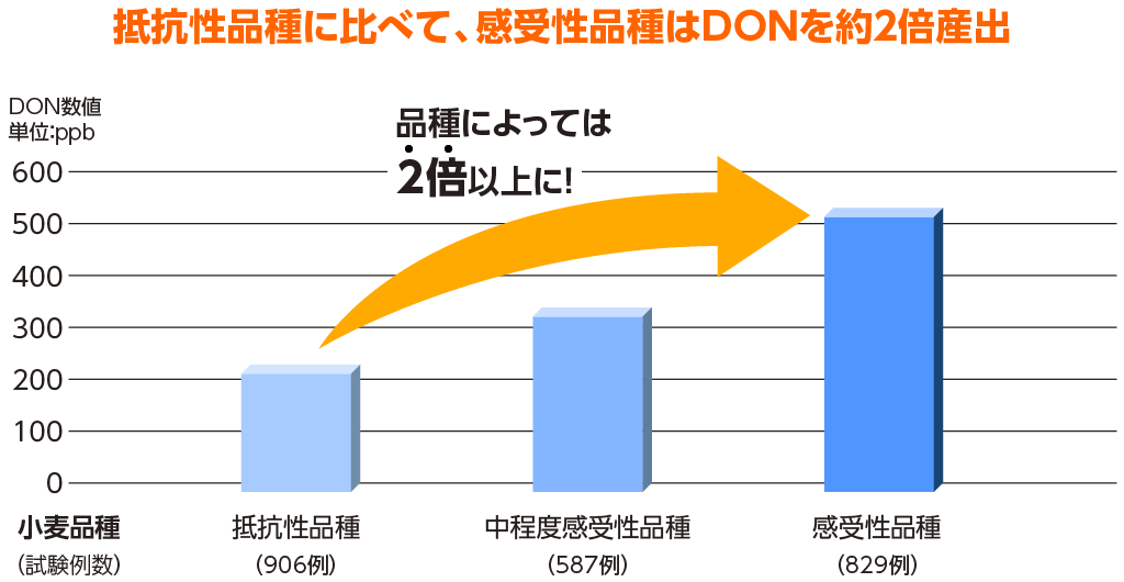 品種とDONの関連性