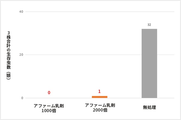 未成熟とうもろこし(スイートコーン)の効果試験