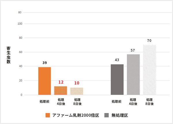 トマトの効果試験