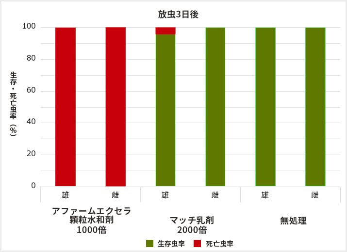 殺成虫効果の試験