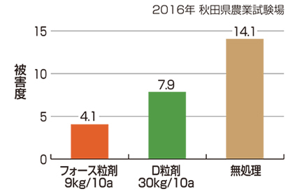 秋田県農業試験場 生産環境部 病害虫担当 主任研究員(現 秋田県山本地域振興局農林部)菊池英樹さん