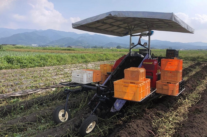 灌水式サツマイモ 苗植え機 2022/7/21納品された物です。 （さつまいも 