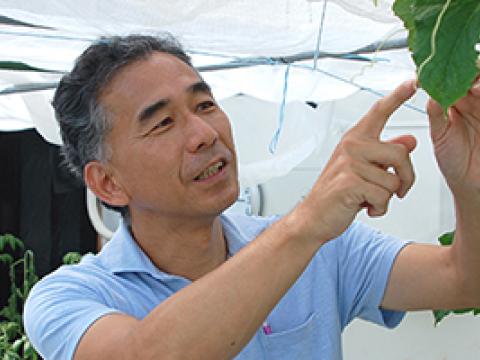 松浦明主任研究員