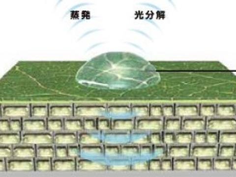 薬害メカニズム