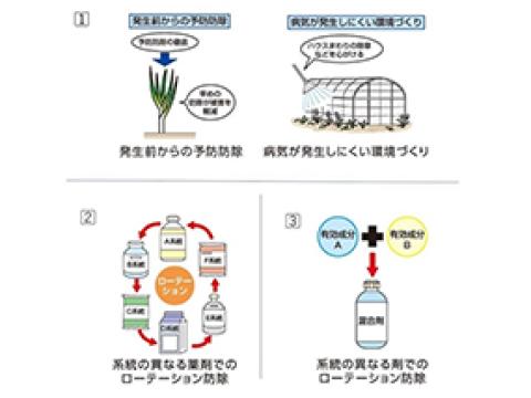 耐性菌発達を回避するポイント