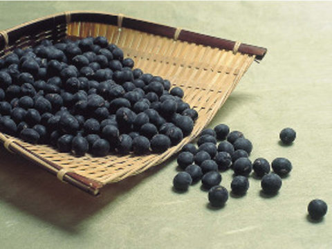 JA独自のPR戦略で、丹波篠山の黒大豆を全国的なブランドに。江戸時代から続く黒大豆栽培が、日本農業遺産にも認定。