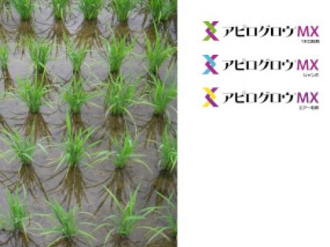 アミスター剤安全使用のポイント | シンジェンタジャパン｜Syngenta Japan