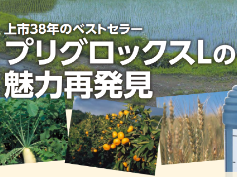 薬液がかかった所だけ枯らす「接触型」の非選択性除草剤です。朝まけば、その日にわかる即日除草！プリグロックスL