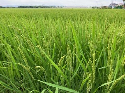 三重県多気郡明和町の（株）ヤマヨ組