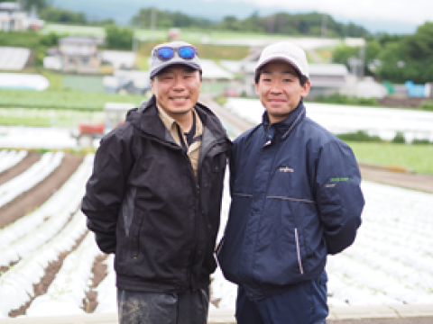 285_214_michikusa_nagano_lettuce_thumnail_2025.png