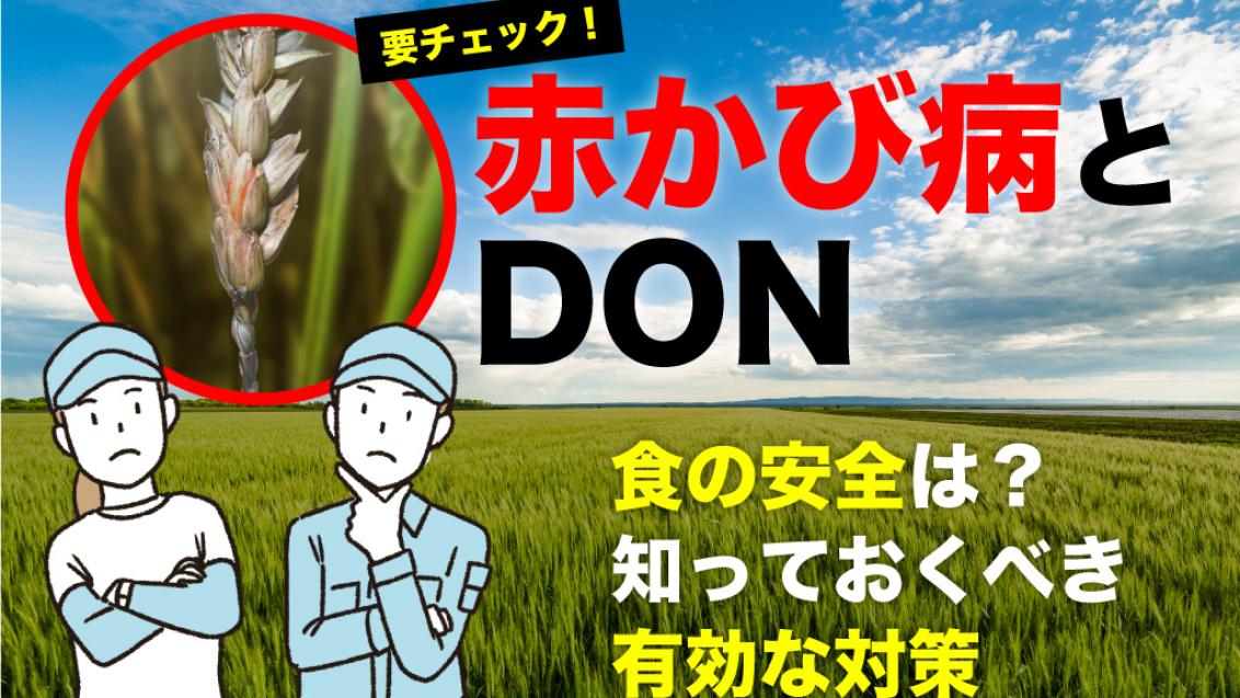 対策できていますか？ 2022年4月にDONの基準値が変わる小麦の「赤かび病」