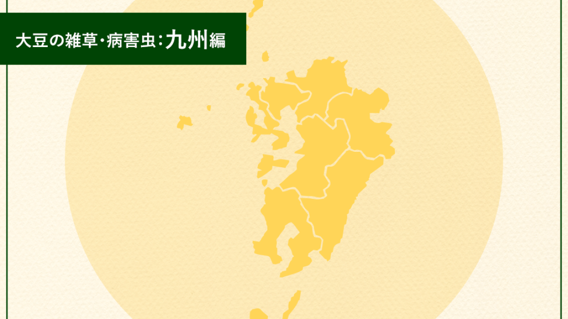 大豆の雑草・病害虫：九州編