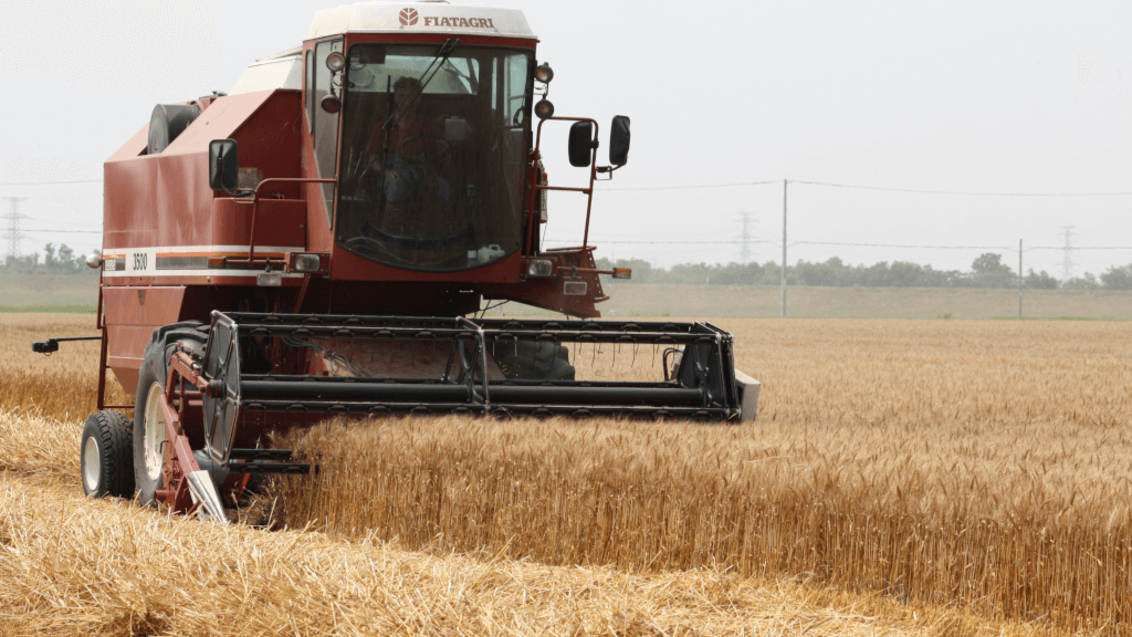 赤かび病防除をはじめ、多様な取り組みで小麦の高品質・高収量にチャレンジ!! -ミラビスフロアブル-