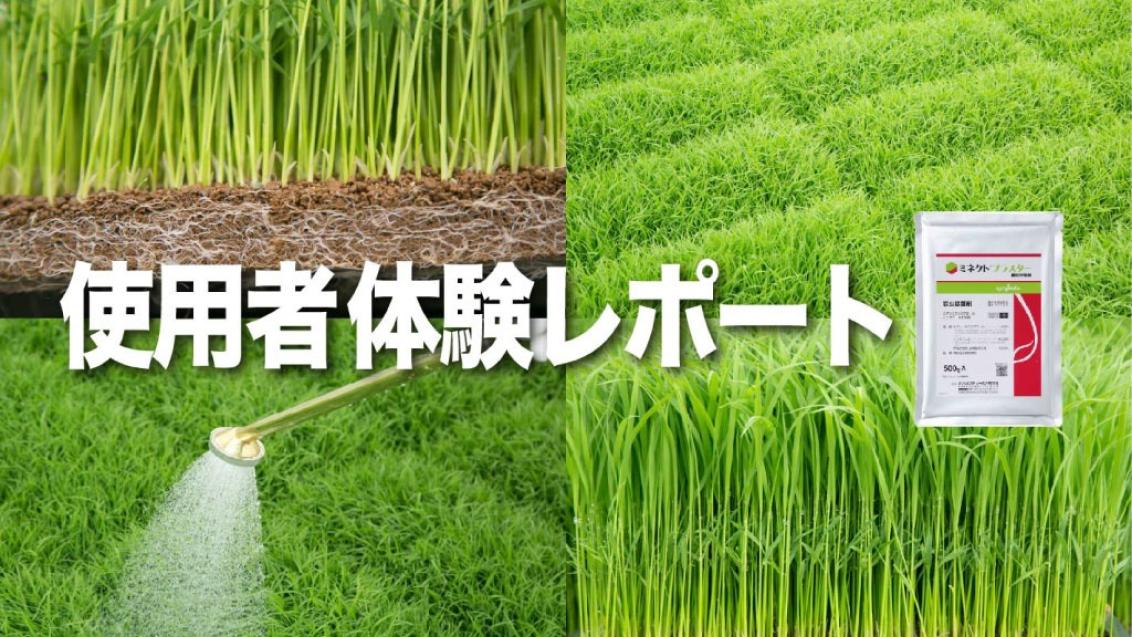 使用者体験レポート