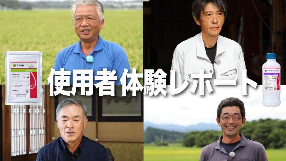 水稲育苗箱用灌注処理剤「ミネクトシリーズ」使用実感レポート（新潟県）