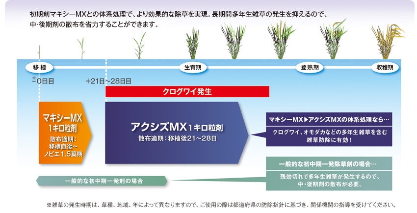 マキシーMXとアクシズMXの体系処理で、より高い除草効果を発揮