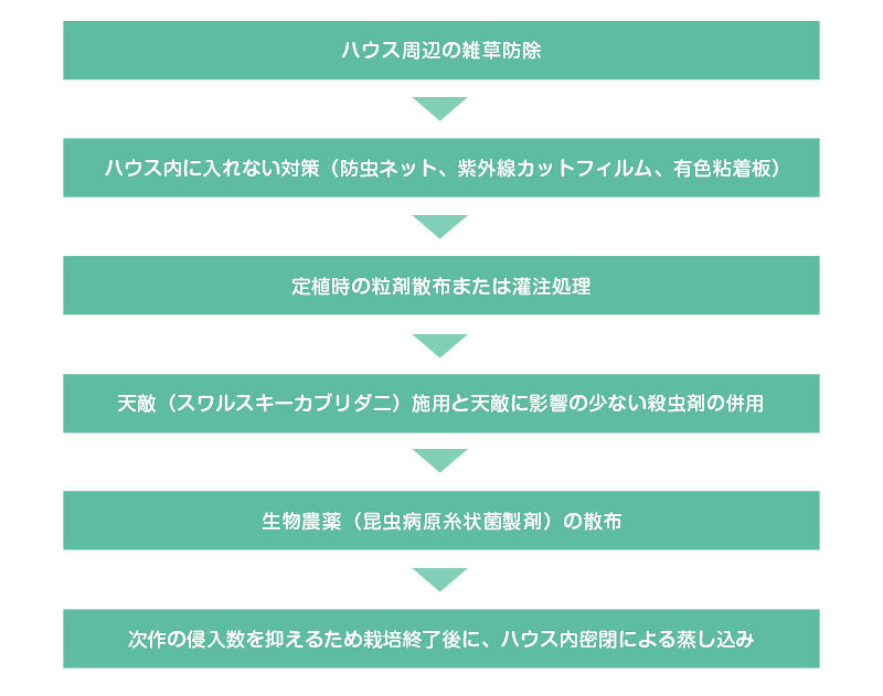 宮崎県における抵抗性ミナミキイロアザミウマの防除体系