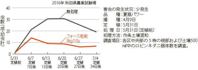 加害部が腐敗して収量減をもたらす、ねぎの「ネダニ」をしっかりと防除するために | シンジェンタジャパン|Syngenta Japan