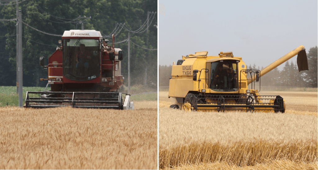 wheat_harvester