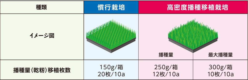 慣行栽培（一般的な播種量〈乾籾〉・移植枚数）と高密度播種苗栽培の播種量比較
