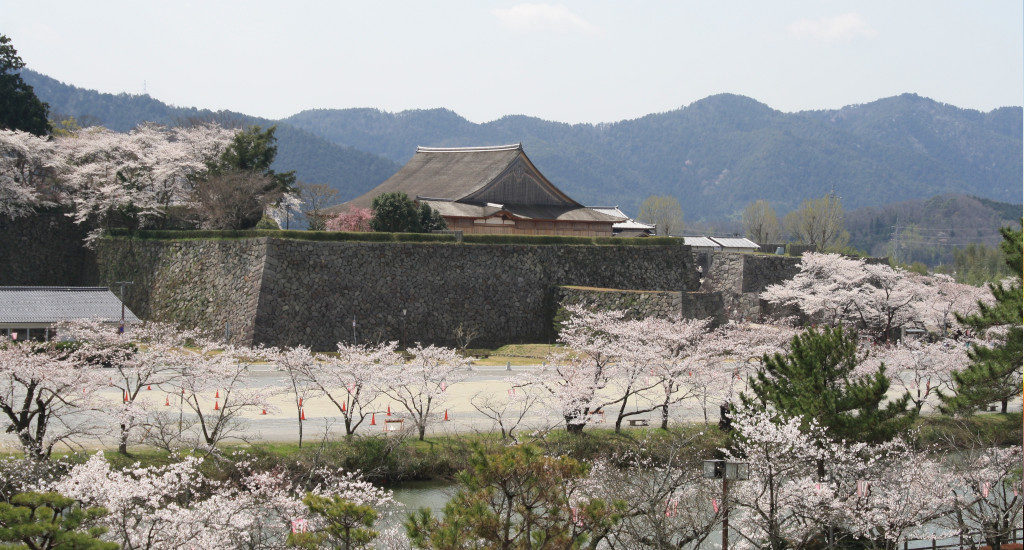 風光明媚な篠山城跡と桜