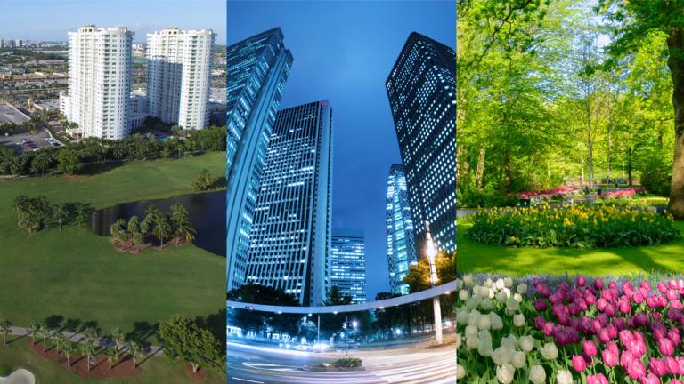 プロフェッショナル　ソリューション事業