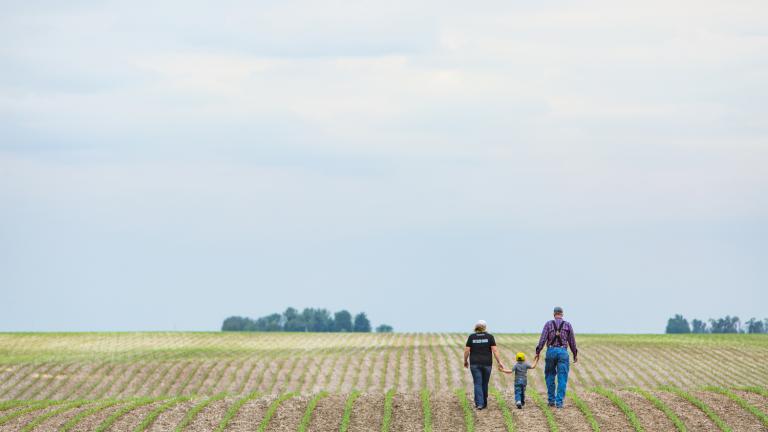 grower_family_in_young_corn_field